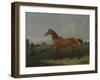 A Bay Horse in a Field-Edmund Bristow-Framed Giclee Print