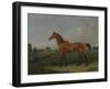 A Bay Horse in a Field-Edmund Bristow-Framed Giclee Print