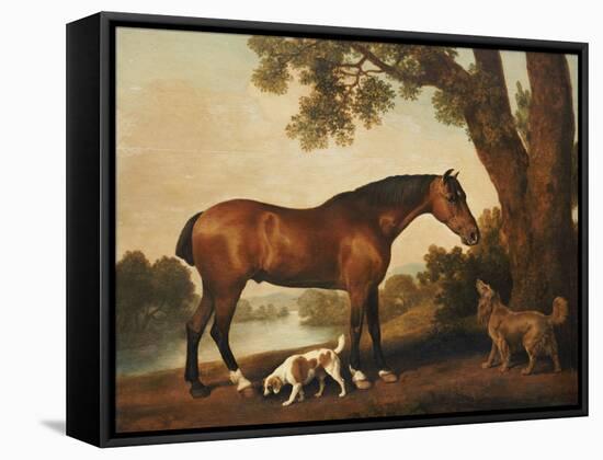 A Bay Hunter, a Springer Spaniel and a Sussex Spaniel, 1782-George Stubbs-Framed Stretched Canvas