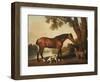 A Bay Hunter, a Springer Spaniel and a Sussex Spaniel, 1782-George Stubbs-Framed Premium Giclee Print