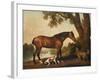 A Bay Hunter, a Springer Spaniel and a Sussex Spaniel, 1782-George Stubbs-Framed Premium Giclee Print