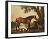 A Bay Hunter, a Springer Spaniel and a Sussex Spaniel, 1782-George Stubbs-Framed Premium Giclee Print