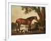 A Bay Hunter, a Springer Spaniel and a Sussex Spaniel, 1782-George Stubbs-Framed Premium Giclee Print