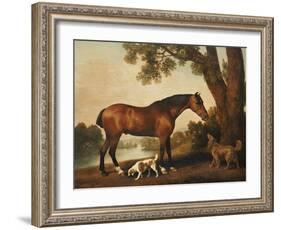 A Bay Hunter, a Springer Spaniel and a Sussex Spaniel, 1782-George Stubbs-Framed Giclee Print