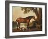A Bay Hunter, a Springer Spaniel and a Sussex Spaniel, 1782-George Stubbs-Framed Giclee Print