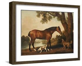 A Bay Hunter, a Springer Spaniel and a Sussex Spaniel, 1782-George Stubbs-Framed Giclee Print