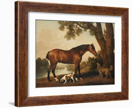 A Bay Hunter, a Springer Spaniel and a Sussex Spaniel, 1782-George Stubbs-Framed Giclee Print