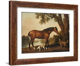 A Bay Hunter, a Springer Spaniel and a Sussex Spaniel, 1782-George Stubbs-Framed Giclee Print