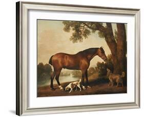 A Bay Hunter, a Springer Spaniel and a Sussex Spaniel, 1782-George Stubbs-Framed Giclee Print