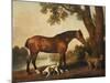 A Bay Hunter, a Springer Spaniel and a Sussex Spaniel, 1782-George Stubbs-Mounted Giclee Print