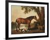 A Bay Hunter, a Springer Spaniel and a Sussex Spaniel, 1782-George Stubbs-Framed Giclee Print