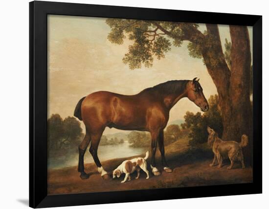 A Bay Hunter, a Springer Spaniel and a Sussex Spaniel, 1782-George Stubbs-Framed Giclee Print