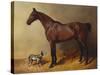 A Bay Hunter and a Spotted Dog in a Stable Interior-John Frederick Herring I-Stretched Canvas