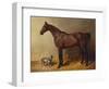 A Bay Hunter and a Spotted Dog in a Stable Interior-John Frederick Herring I-Framed Giclee Print