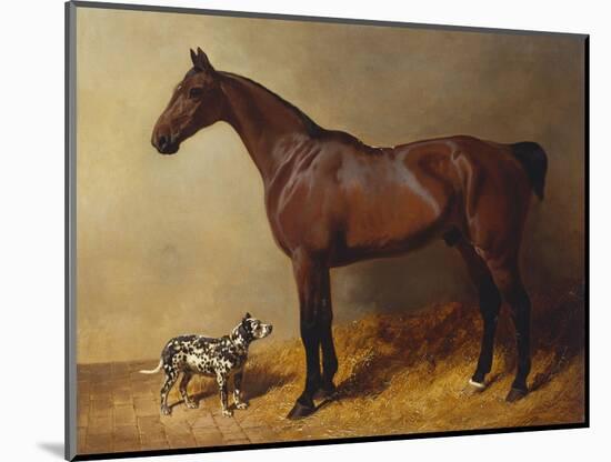 A Bay Hunter and a Spotted Dog in a Stable Interior-John Frederick Herring I-Mounted Giclee Print
