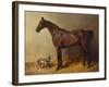 A Bay Hunter and a Spotted Dog in a Stable Interior-John Frederick Herring I-Framed Giclee Print