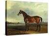 A Bay Hunter, the Property of the Hon F. Craven in a Landscape-John Ferneley, Sr-Stretched Canvas