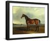 A Bay Hunter, the Property of the Hon F. Craven in a Landscape-John Ferneley, Sr-Framed Giclee Print