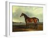 A Bay Hunter, the Property of the Hon F. Craven in a Landscape-John Ferneley, Sr-Framed Giclee Print