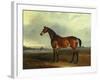 A Bay Hunter, the Property of the Hon F. Craven in a Landscape-John Ferneley, Sr-Framed Giclee Print