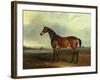 A Bay Hunter, the Property of the Hon F. Craven in a Landscape-John Ferneley, Sr-Framed Giclee Print