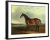 A Bay Hunter, the Property of the Hon F. Craven in a Landscape-John Ferneley, Sr-Framed Giclee Print