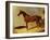 A Bay Racehorse in a Stall-John Frederick Herring I-Framed Giclee Print