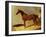 A Bay Racehorse in a Stall-John Frederick Herring I-Framed Giclee Print