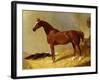 A Bay Racehorse in a Stall-John Frederick Herring I-Framed Giclee Print