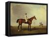 A Bay Racehorse with a Jockey Up on a Racehorse-Lambert Marshall-Framed Stretched Canvas