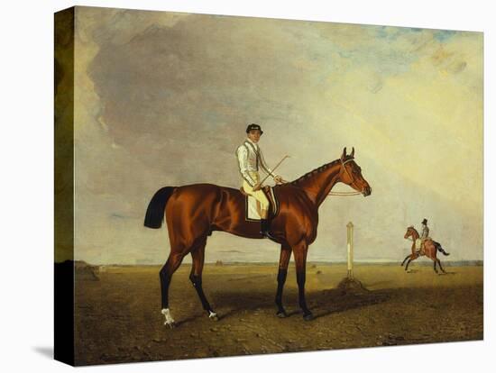 A Bay Racehorse with a Jockey Up on a Racehorse-Lambert Marshall-Stretched Canvas