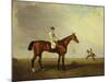 A Bay Racehorse with a Jockey Up on a Racehorse-Lambert Marshall-Mounted Giclee Print