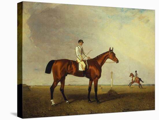 A Bay Racehorse with a Jockey Up on a Racehorse-Lambert Marshall-Stretched Canvas