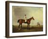 A Bay Racehorse with a Jockey Up on a Racehorse-Lambert Marshall-Framed Giclee Print