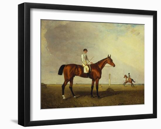 A Bay Racehorse with a Jockey Up on a Racehorse-Lambert Marshall-Framed Giclee Print