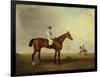 A Bay Racehorse with a Jockey Up on a Racehorse-Lambert Marshall-Framed Premium Giclee Print