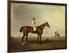 A Bay Racehorse with a Jockey Up on a Racehorse-Lambert Marshall-Framed Giclee Print