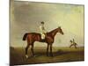 A Bay Racehorse with a Jockey Up on a Racehorse-Lambert Marshall-Mounted Premium Giclee Print