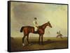 A Bay Racehorse with a Jockey Up on a Racehorse-Lambert Marshall-Framed Stretched Canvas