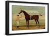 A Bay Racehorse with his Jockey on a Racecourse-Daniel Quigley-Framed Premium Giclee Print