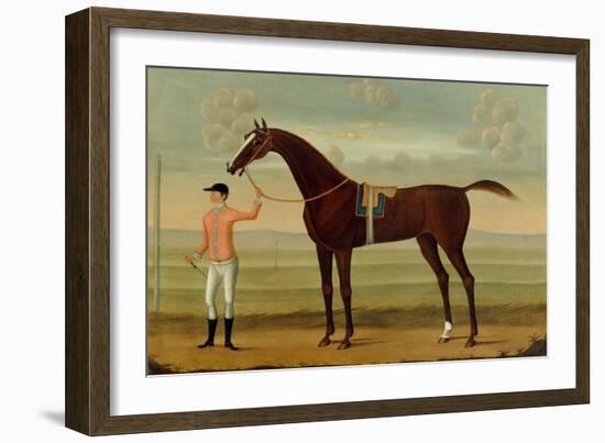 A Bay Racehorse with his Jockey on a Racecourse-Daniel Quigley-Framed Giclee Print