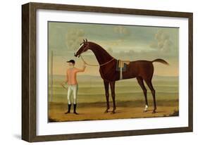 A Bay Racehorse with his Jockey on a Racecourse-Daniel Quigley-Framed Giclee Print