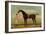 A Bay Racehorse with his Jockey on a Racecourse-Daniel Quigley-Framed Giclee Print