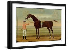 A Bay Racehorse with his Jockey on a Racecourse-Daniel Quigley-Framed Giclee Print