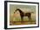 A Bay Racehorse with his Jockey on a Racecourse-Daniel Quigley-Framed Giclee Print