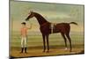 A Bay Racehorse with his Jockey on a Racecourse-Daniel Quigley-Mounted Giclee Print