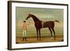 A Bay Racehorse with his Jockey on a Racecourse-Daniel Quigley-Framed Giclee Print