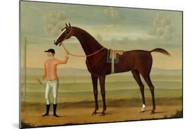 A Bay Racehorse with his Jockey on a Racecourse-Daniel Quigley-Mounted Giclee Print