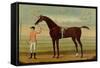 A Bay Racehorse with his Jockey on a Racecourse-Daniel Quigley-Framed Stretched Canvas