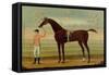 A Bay Racehorse with his Jockey on a Racecourse-Daniel Quigley-Framed Stretched Canvas